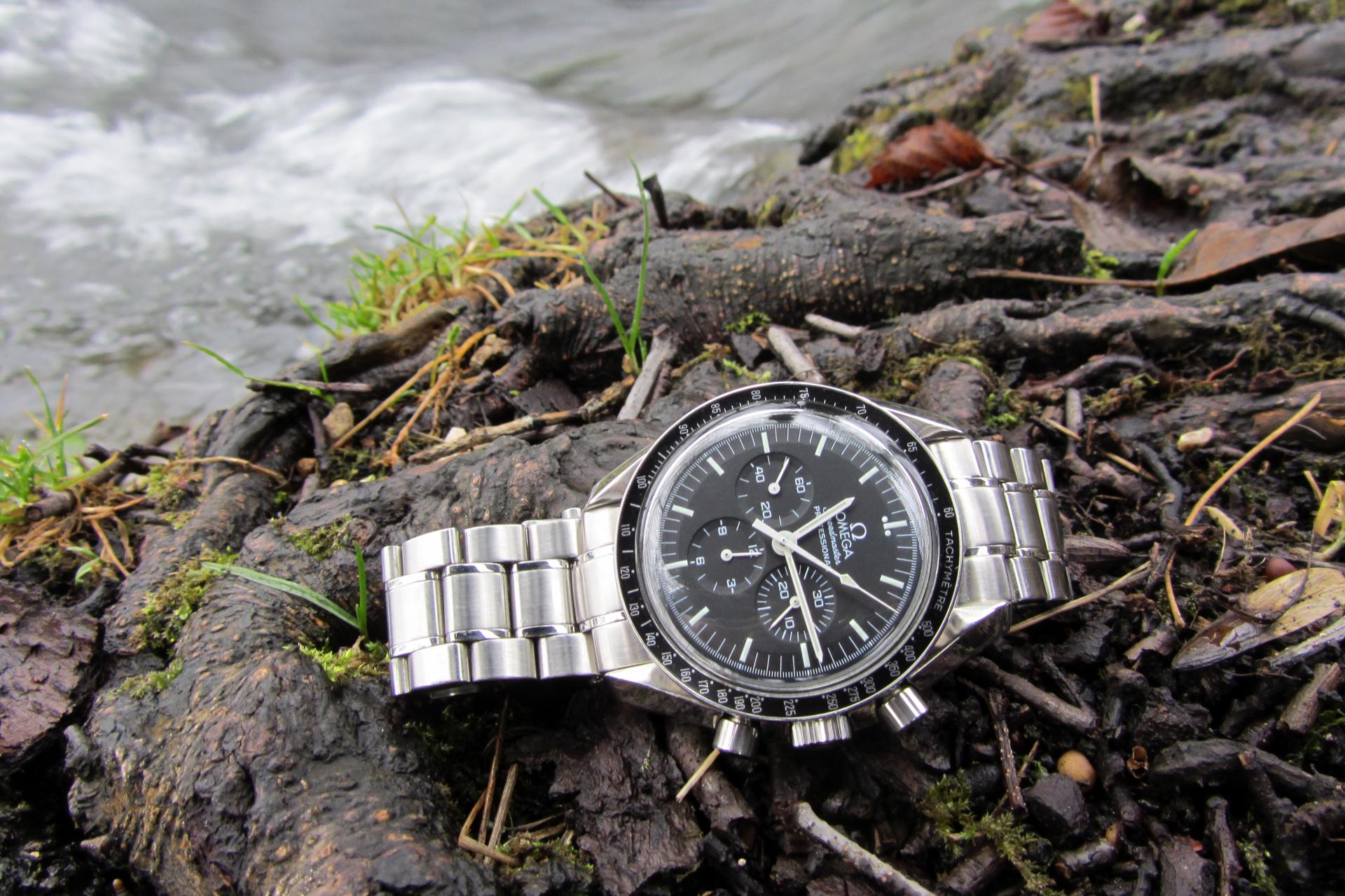 Naziv: IMG_5317.jpg, pregleda: 433, veličina: 342,8 KB