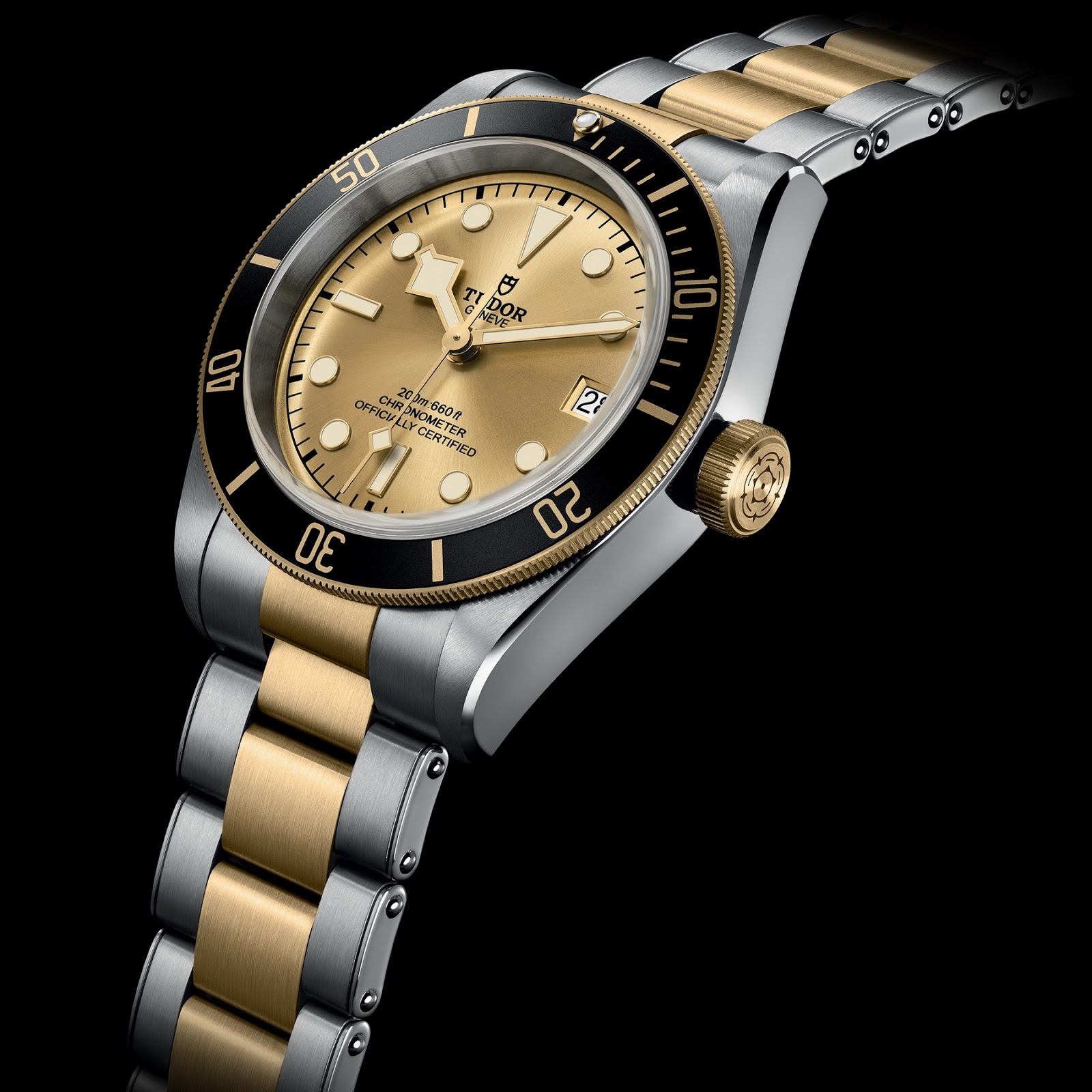 Naziv: TUDOR%u00252BBlack%u00252BBay%u00252BS%u00252526G%u00252B01.jpg, pregleda: 317, veličina: 322,0 KB