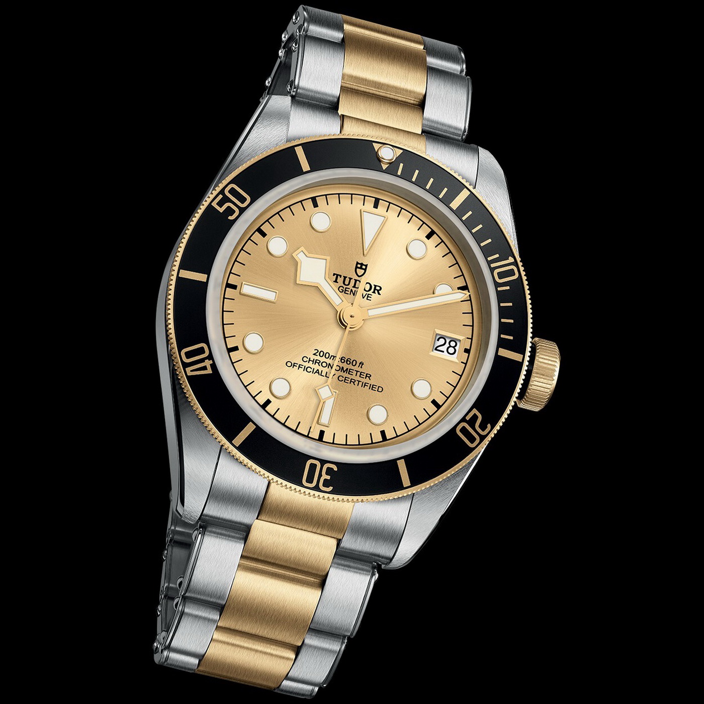 Naziv: TUDOR%u00252BBlack%u00252BBay%u00252BS%u00252526G%u00252B02.jpg, pregleda: 373, veličina: 373,0 KB