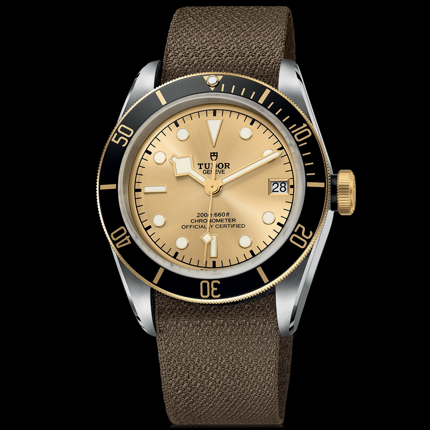 Naziv: TUDOR%u00252BBlack%u00252BBay%u00252BS%u00252526G%u00252B06.jpg, pregleda: 351, veličina: 420,8 KB