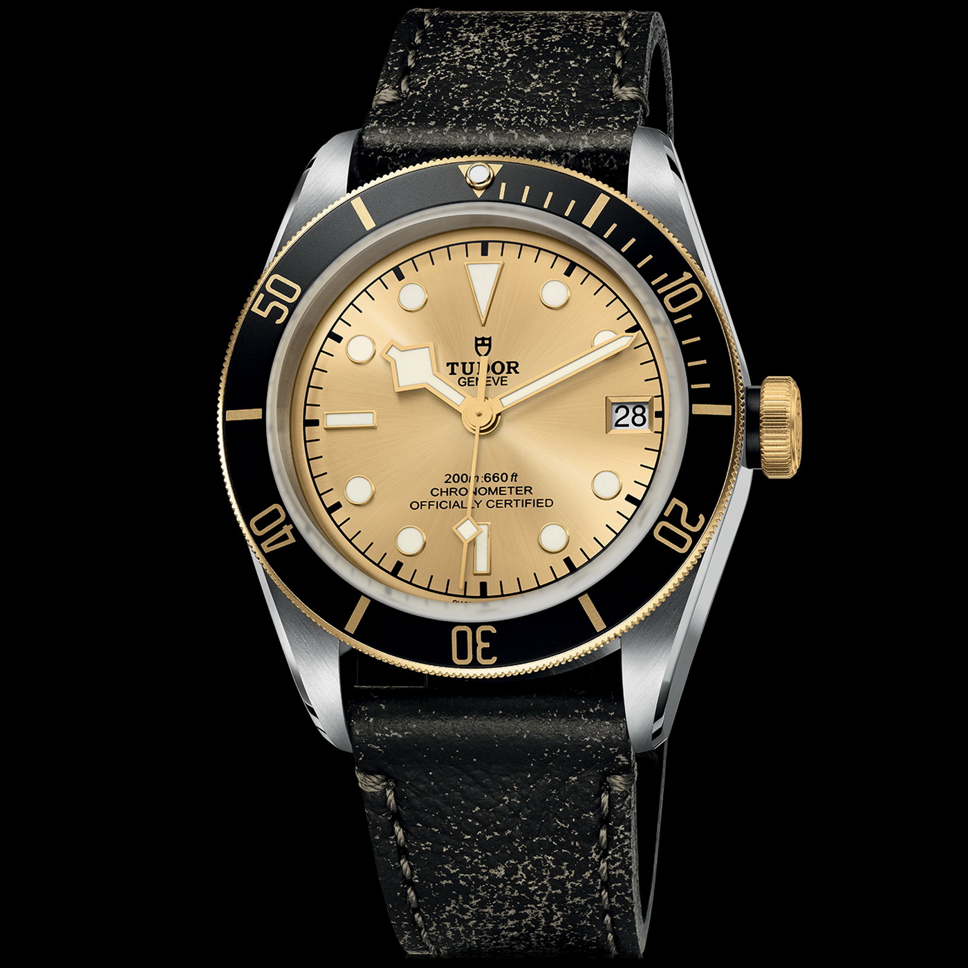 Naziv: TUDOR%u00252BBlack%u00252BBay%u00252BS%u00252526G%u00252B08.jpg, pregleda: 278, veličina: 390,5 KB