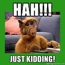 Sihh 2013-19371657.jpg