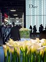 Fotografije i video sa Baselworld-a 2014. godine-baselworld-2014-foto-swarovski-dior.jpg