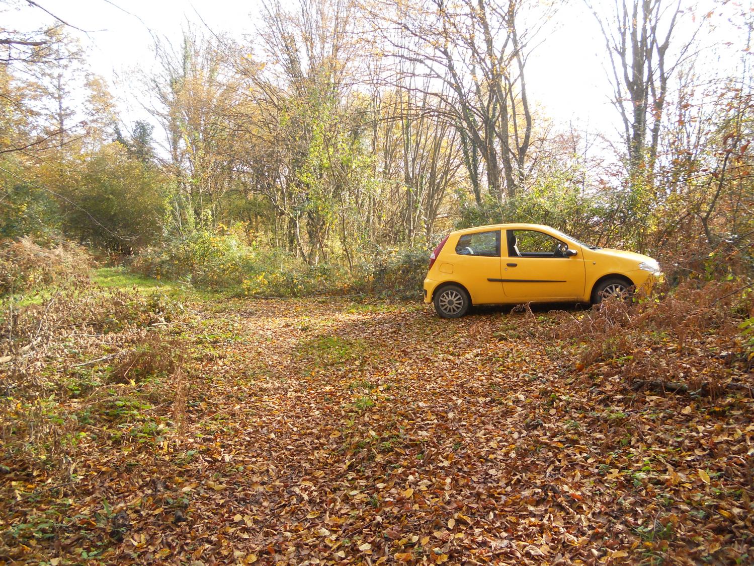 Naziv: DSCN4796.jpg, pregleda: 218, veličina: 527,8 KB