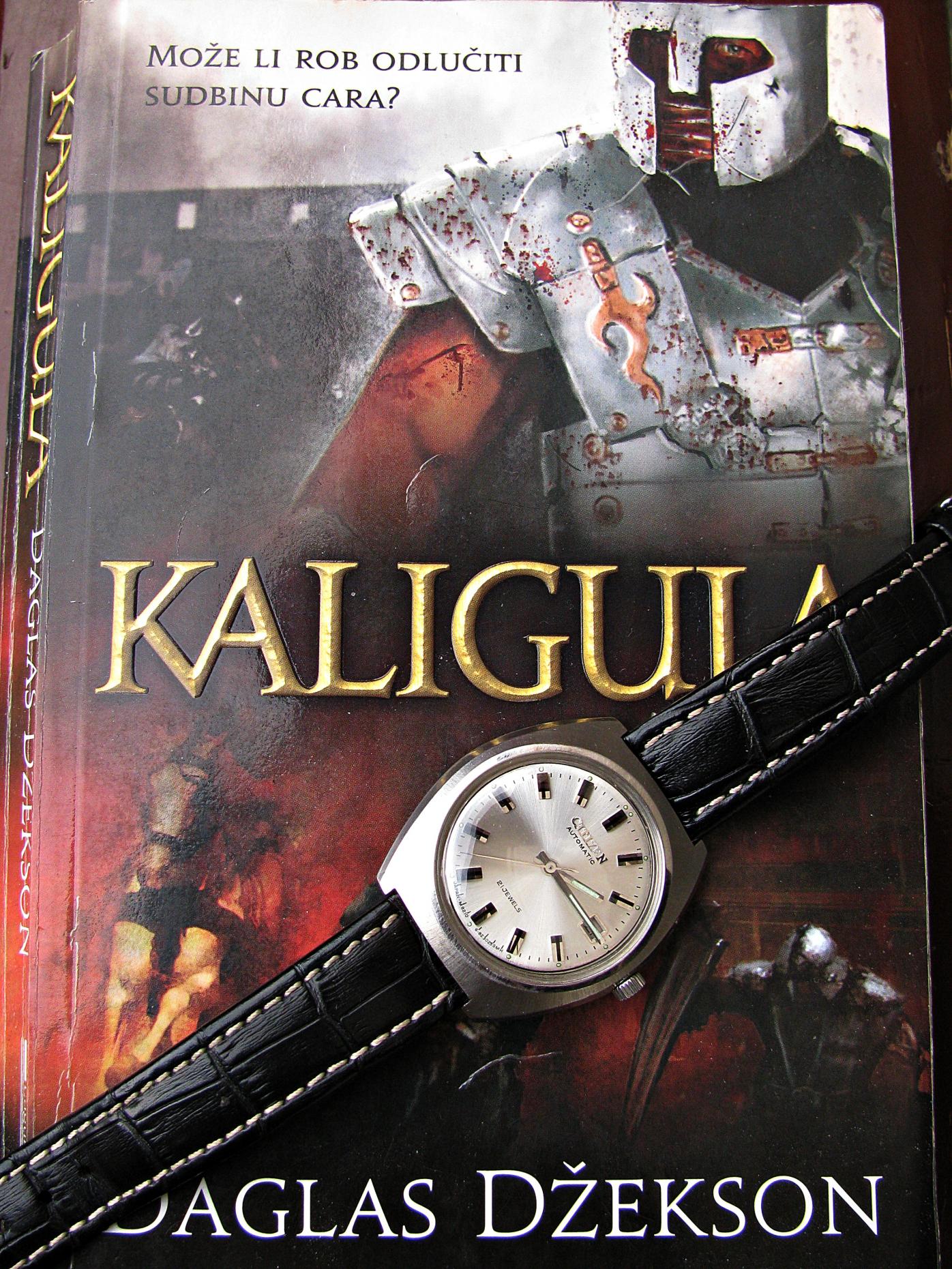 Naziv: IMG_0307 ....jpg, pregleda: 225, veličina: 495,1 KB