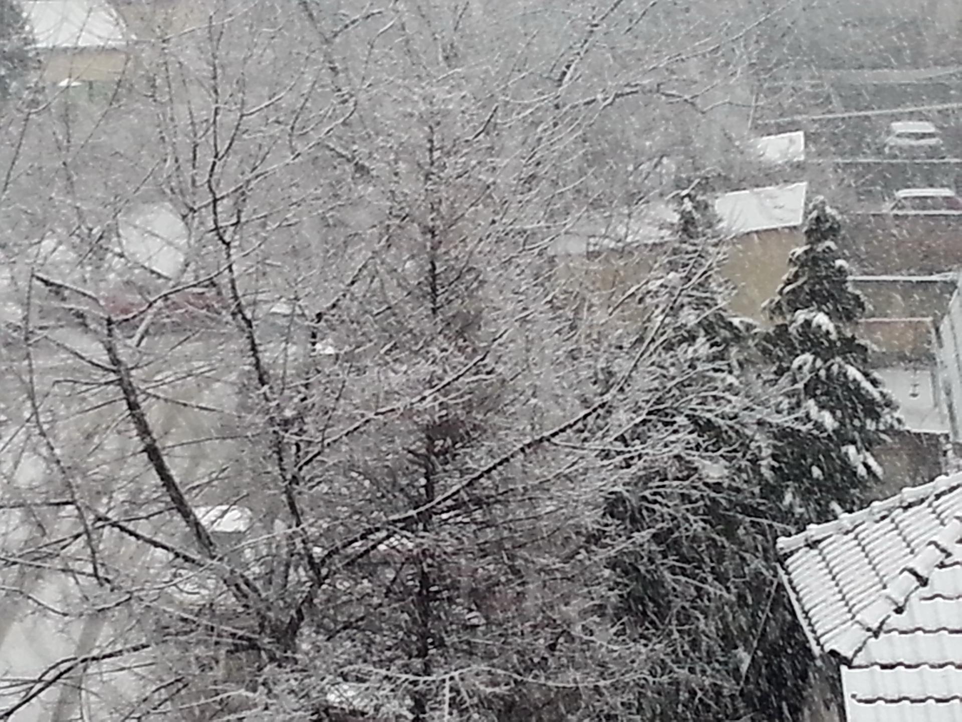 Naziv: 20150206_155337.jpg, pregleda: 203, veličina: 384,0 KB