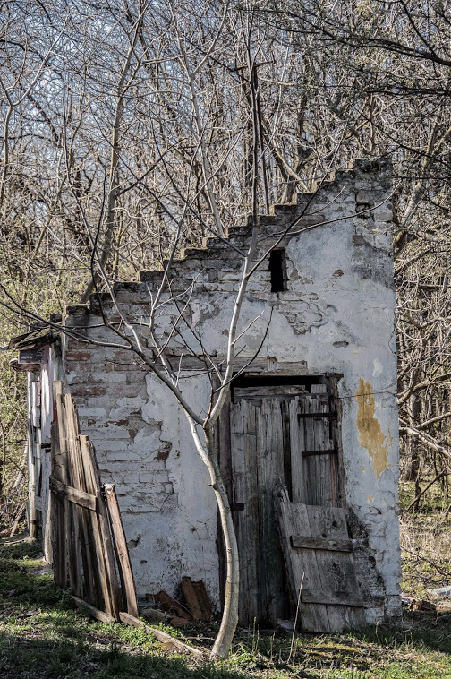 Naziv: DSC_0292.jpg, pregleda: 281, veličina: 223,1 KB