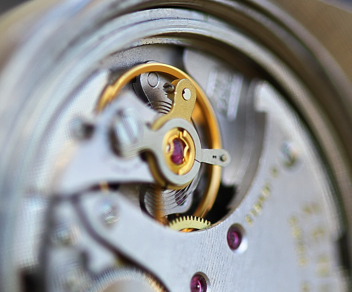 Naziv: IMG_0840.JPG, pregleda: 417, veličina: 378,2 KB