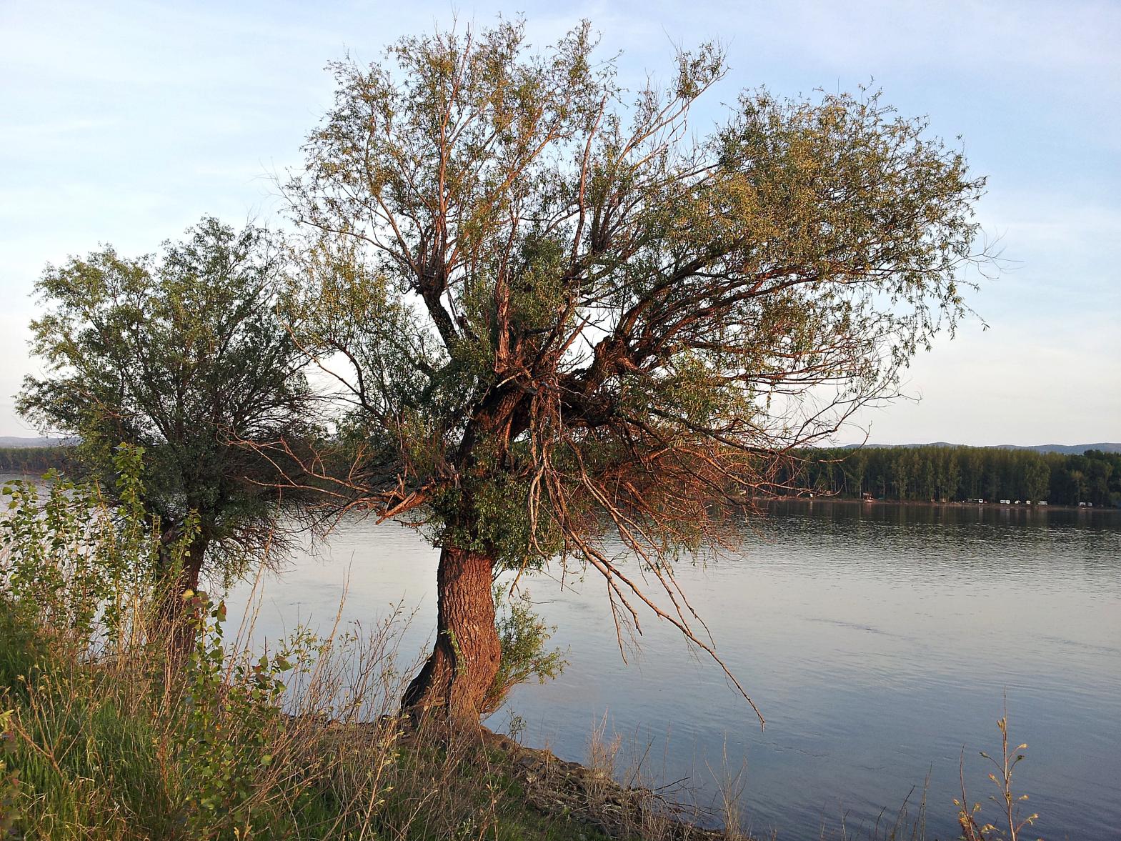 Naziv: 20150426_190902 ....jpg, pregleda: 158, veličina: 509,1 KB