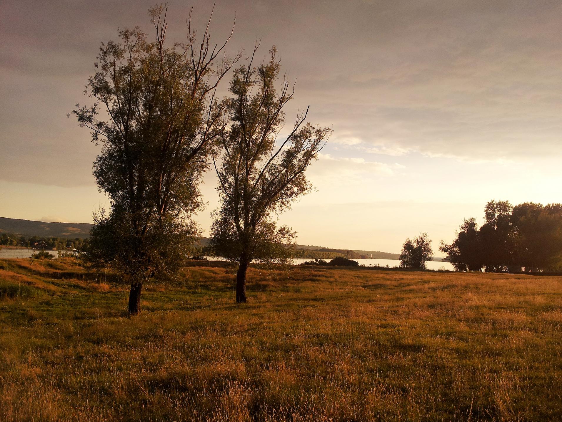 Naziv: 20150625_193506 ....jpg, pregleda: 124, veličina: 490,9 KB