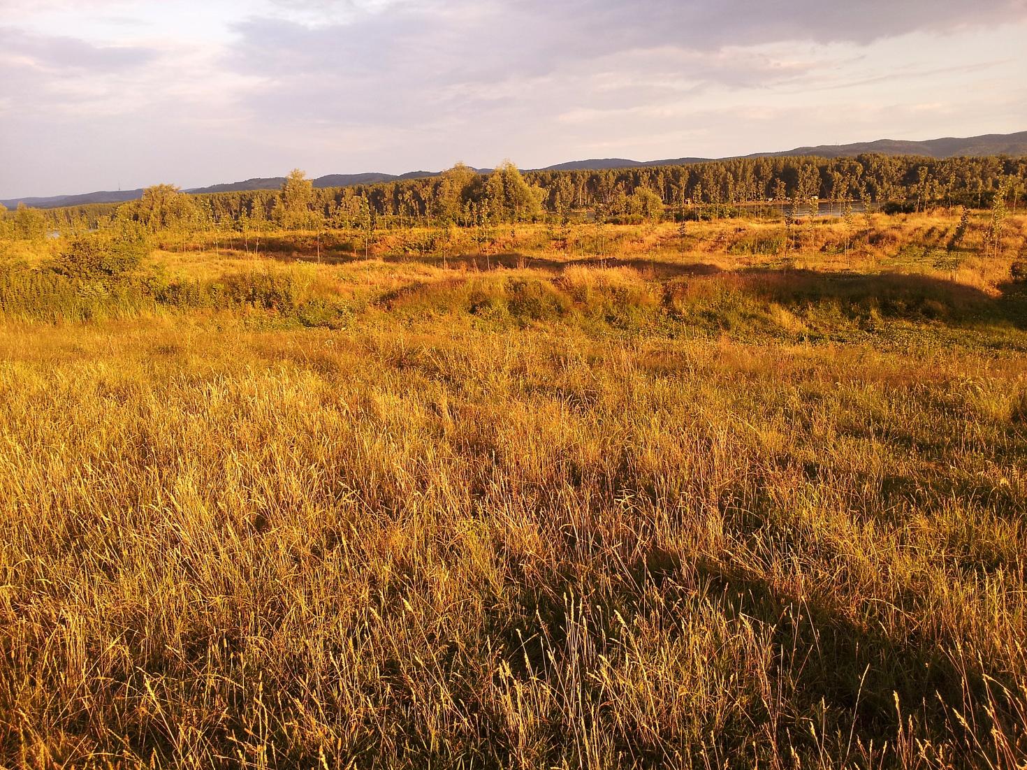 Naziv: 20150625_193612 ....jpg, pregleda: 128, veličina: 512,2 KB