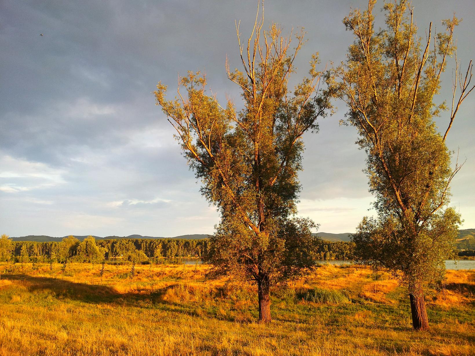 Naziv: 20150625_194057 ....jpg, pregleda: 129, veličina: 501,2 KB