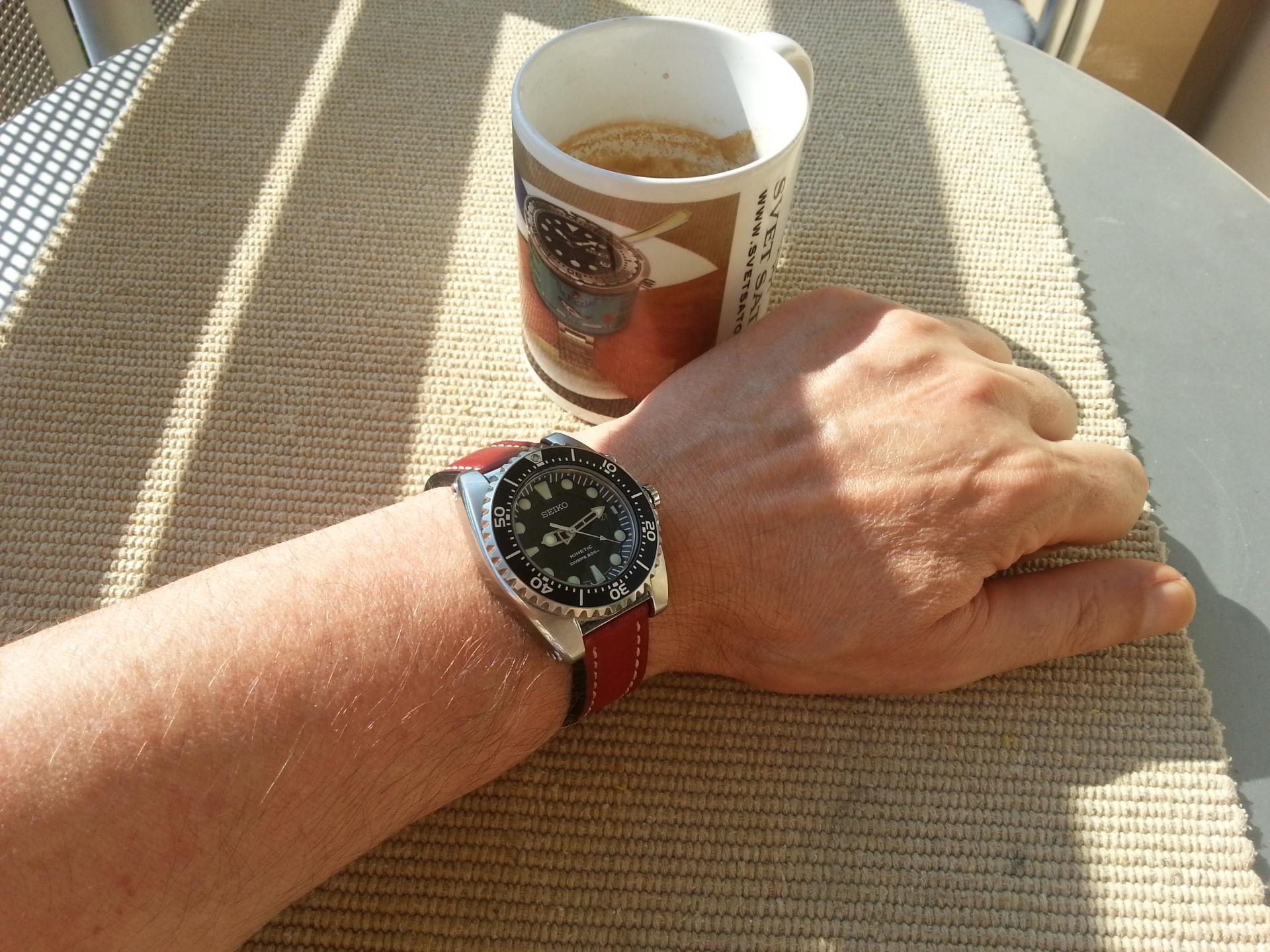 Naziv: 20150827_091422.jpg, pregleda: 281, veličina: 373,8 KB