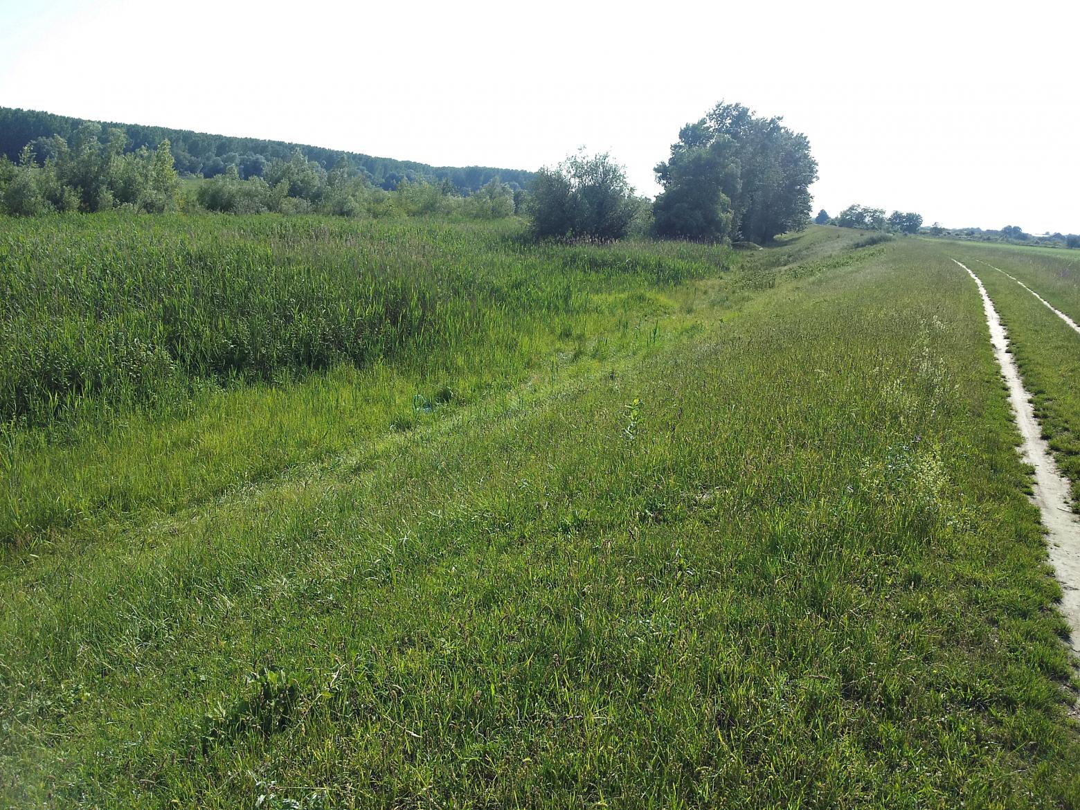 Naziv: 20150529_164056 ....jpg, pregleda: 147, veličina: 506,3 KB