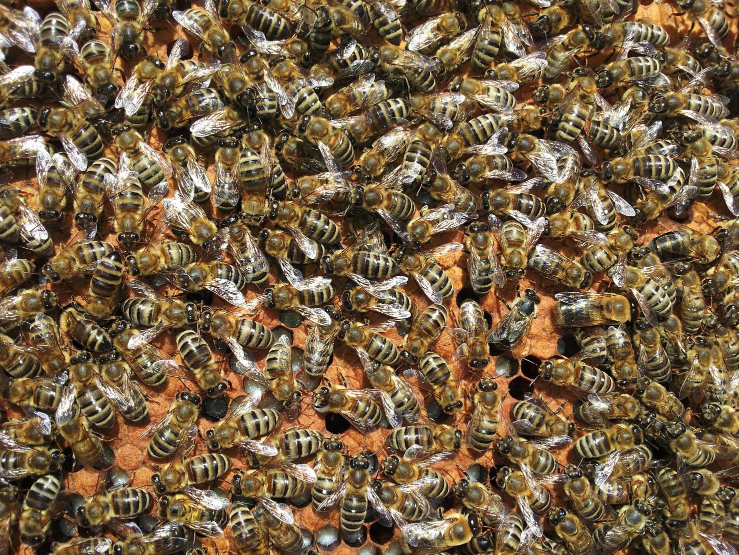 Naziv: 20150710_155314 ....jpg, pregleda: 150, veličina: 534,6 KB