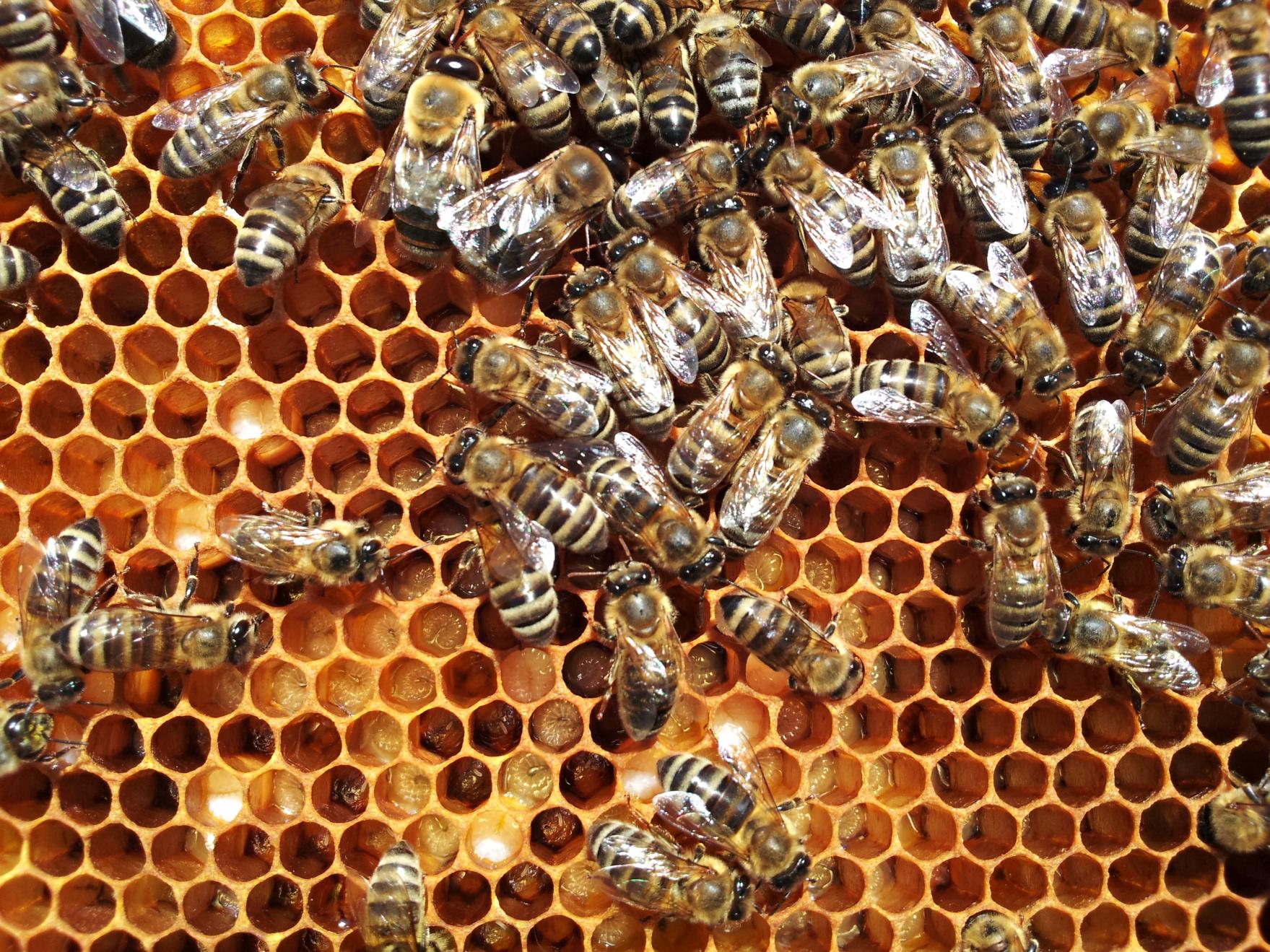 Naziv: 20150710_155624 ....jpg, pregleda: 149, veličina: 509,1 KB