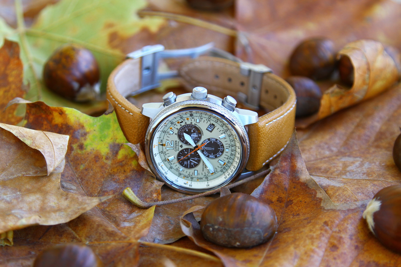 Naziv: IMG_1358.JPG, pregleda: 271, veličina: 382,1 KB