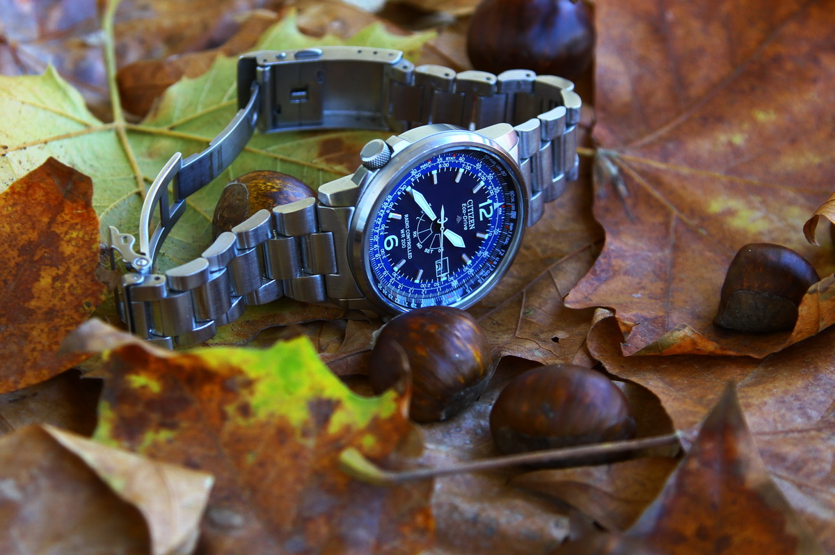 Naziv: IMG_1364.JPG, pregleda: 285, veličina: 327,2 KB