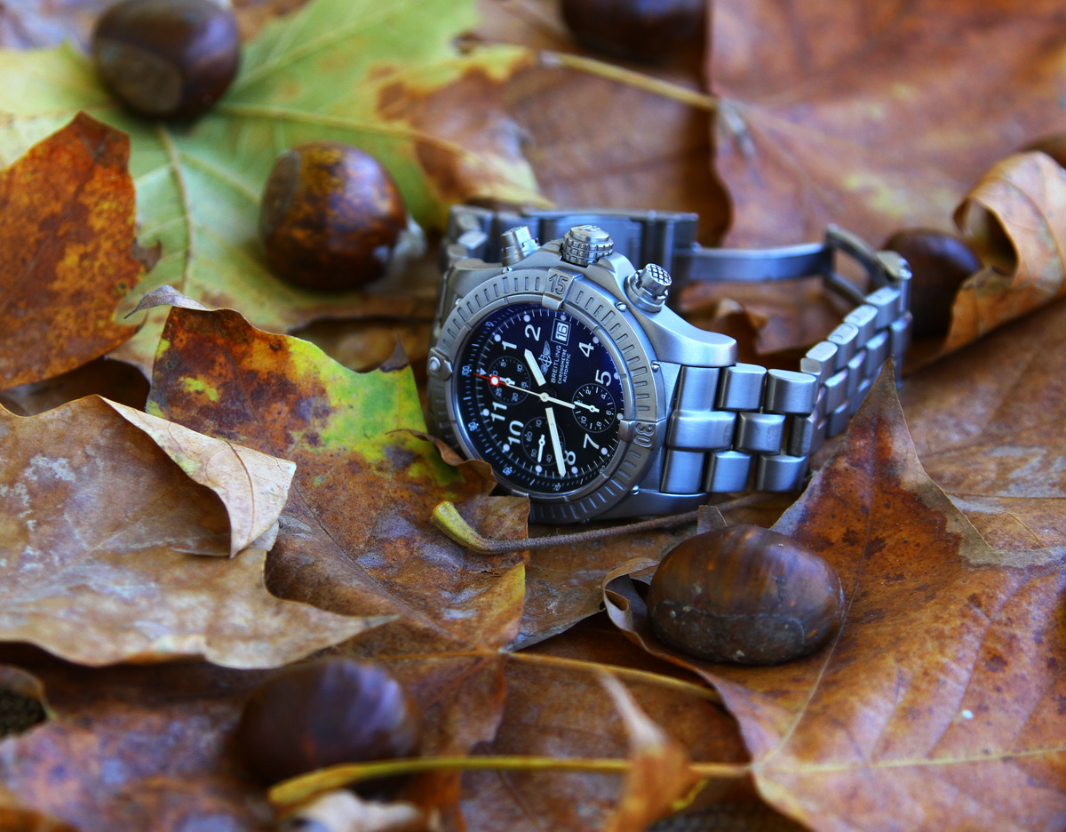 Naziv: IMG_1365.JPG, pregleda: 199, veličina: 383,3 KB