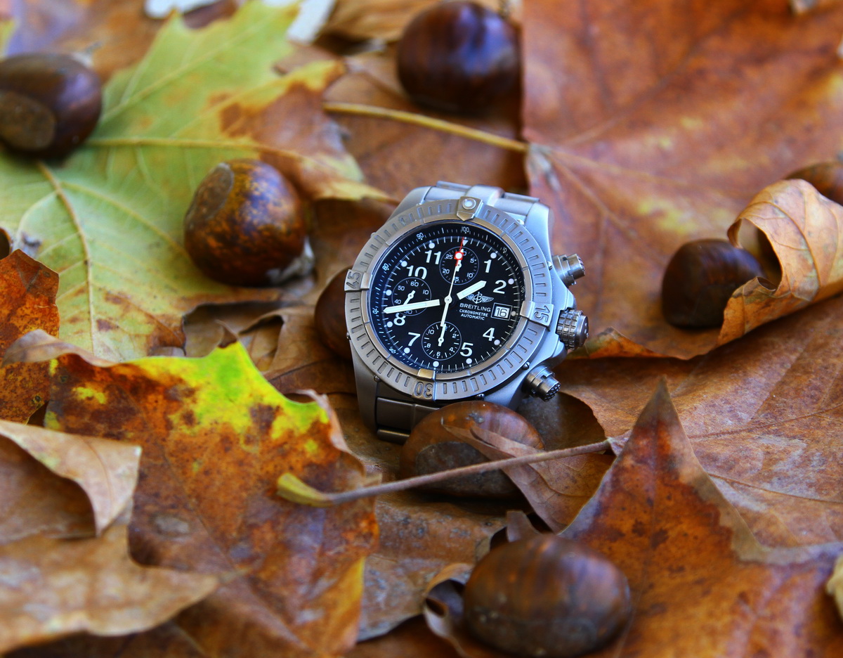 Naziv: IMG_1369.JPG, pregleda: 194, veličina: 366,6 KB