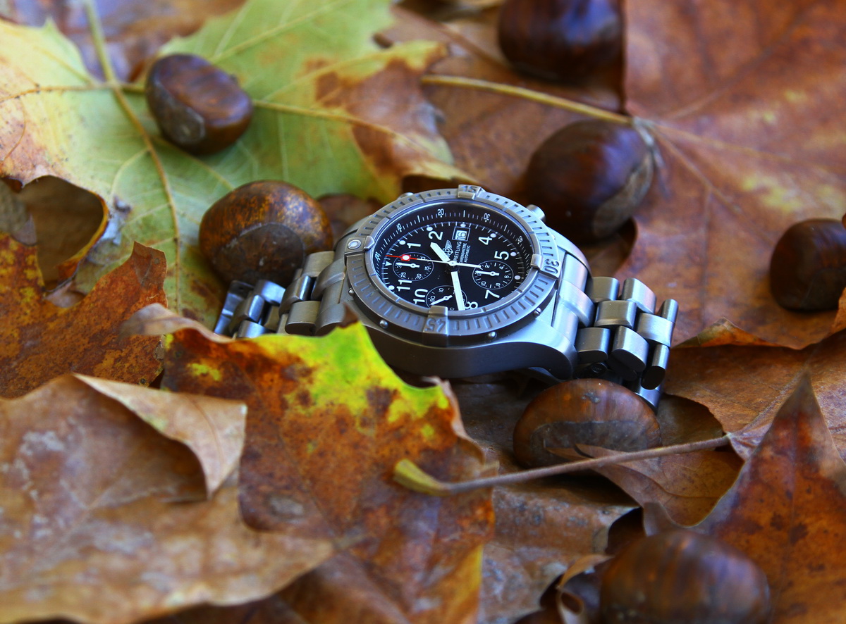 Naziv: IMG_1370.JPG, pregleda: 224, veličina: 336,1 KB