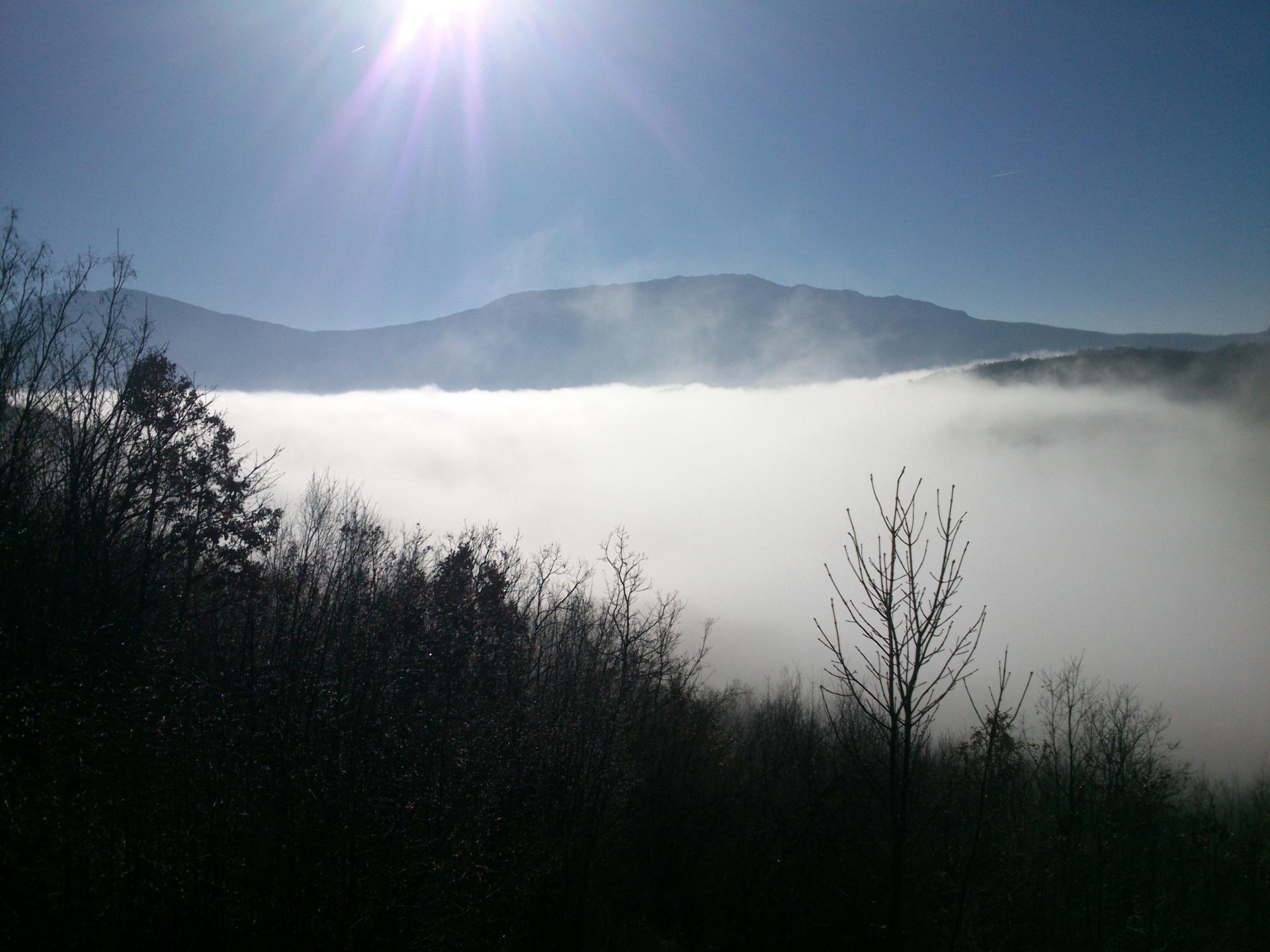 Naziv: DSC_2935[1].jpg, pregleda: 146, veličina: 222,3 KB