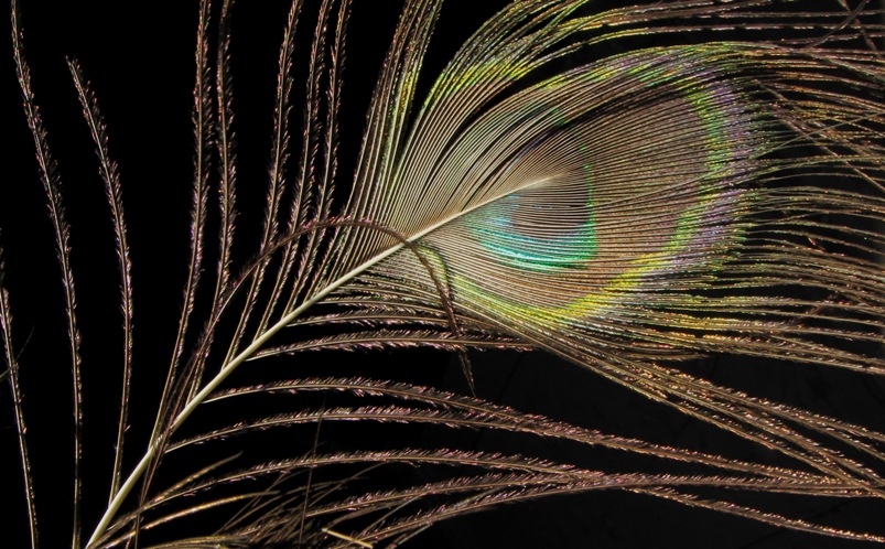 Naziv: IMG_20611.jpg, pregleda: 155, veličina: 189,9 KB