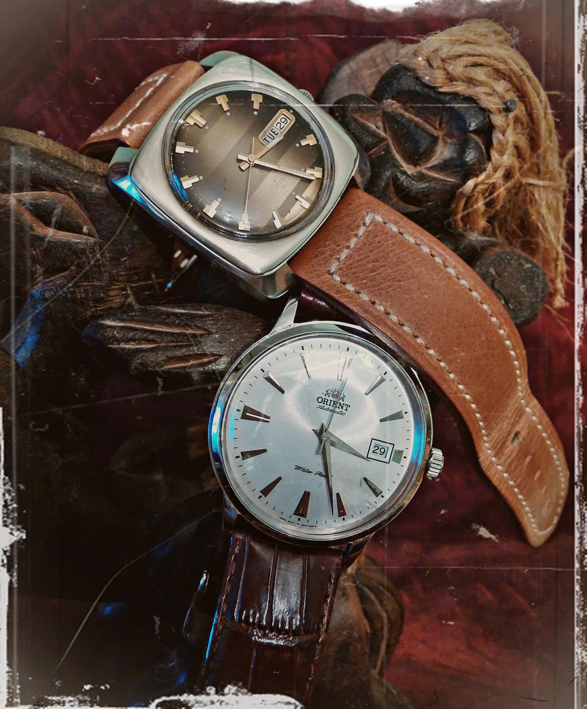 Naziv: 20151229_152647 ....jpg, pregleda: 305, veličina: 462,6 KB