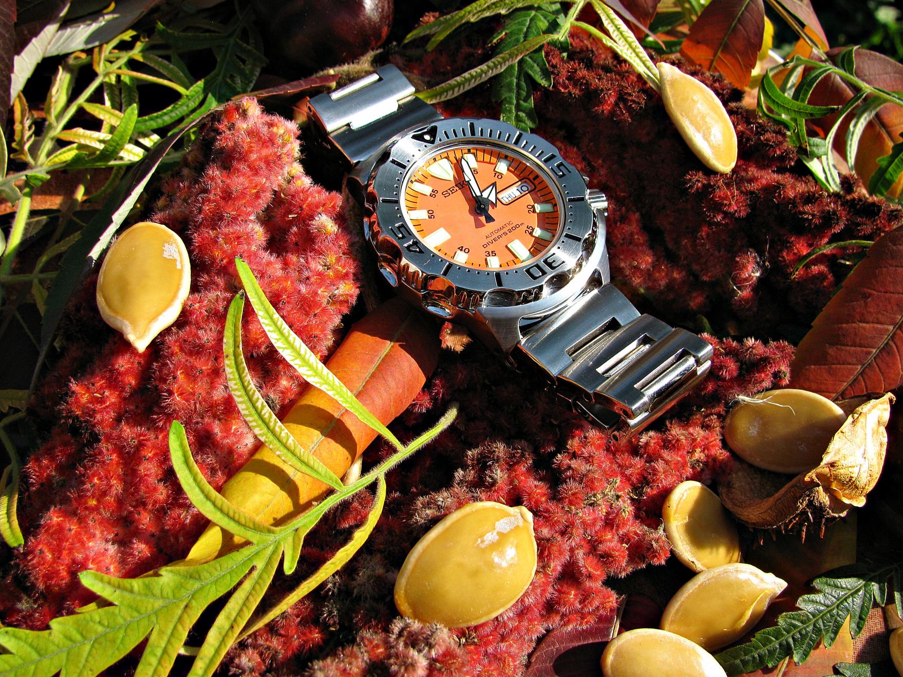 Naziv: giu.jpg, pregleda: 263, veličina: 501,6 KB