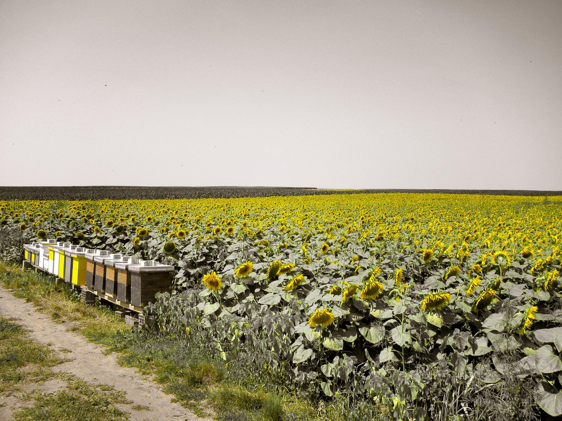 Naziv: IMG_20160131_145352.jpg, pregleda: 219, veličina: 494,7 KB