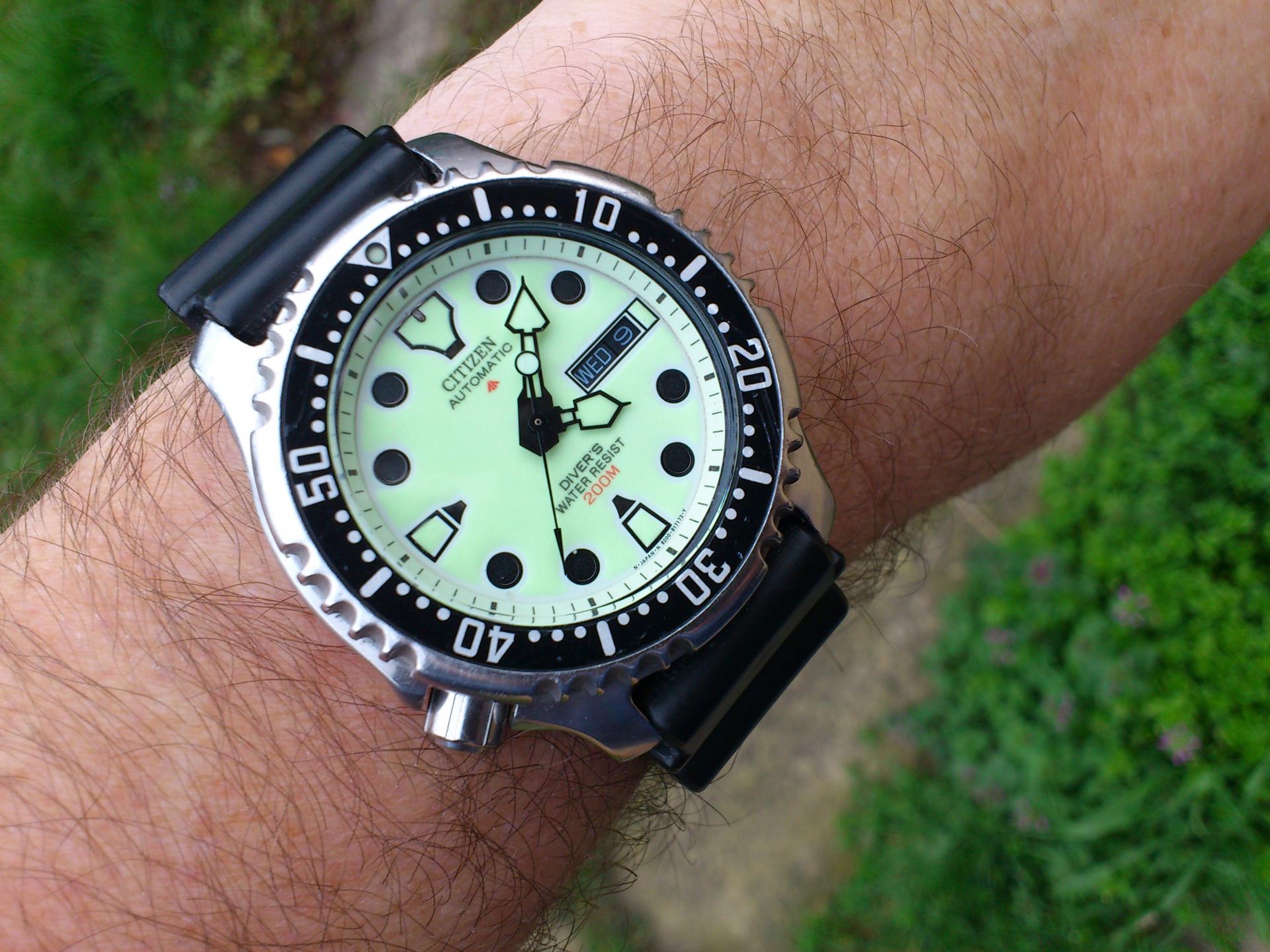 Naziv: DSC_0305.jpg, pregleda: 260, veličina: 308,8 KB