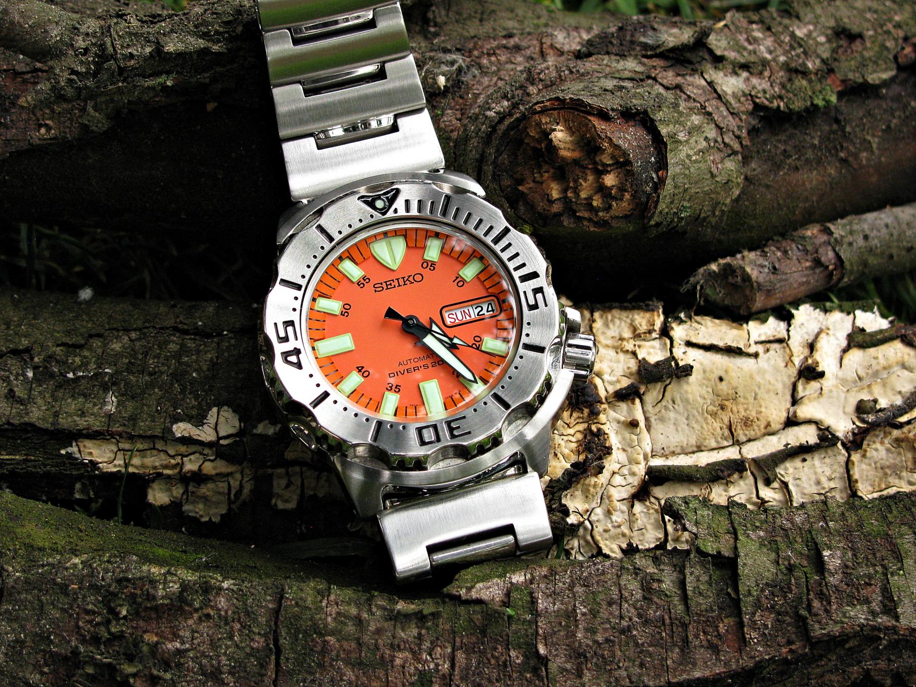 Naziv: IMG_1739 ....jpg, pregleda: 235, veličina: 496,3 KB