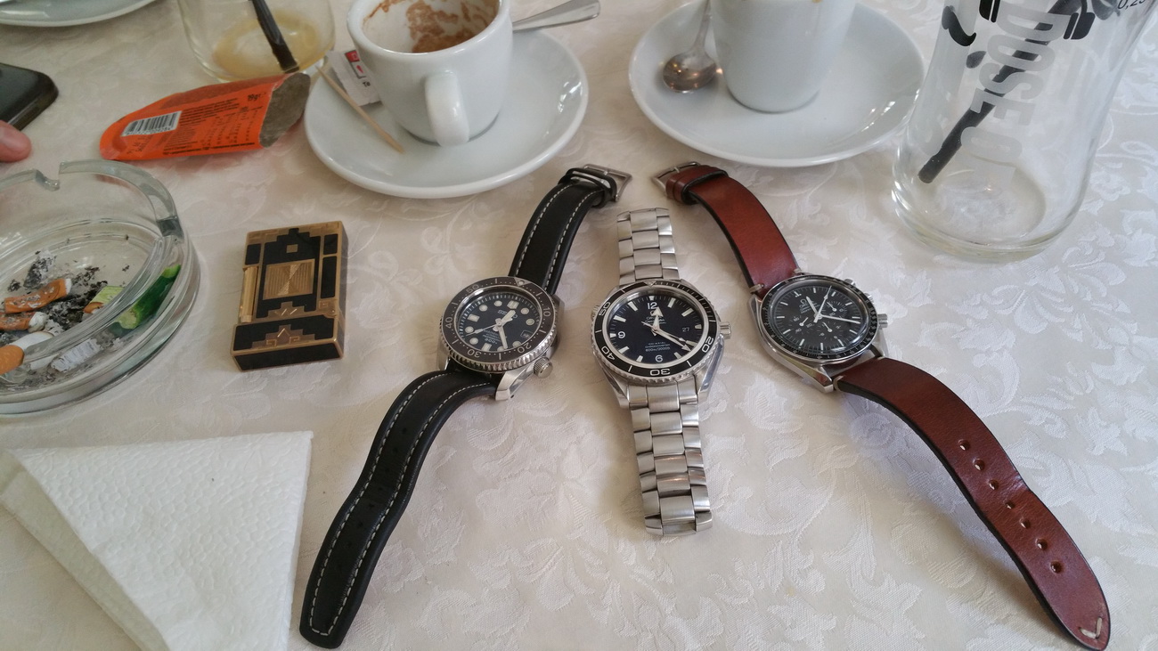 Naziv: 20160327_122217.jpg, pregleda: 221, veličina: 310,0 KB