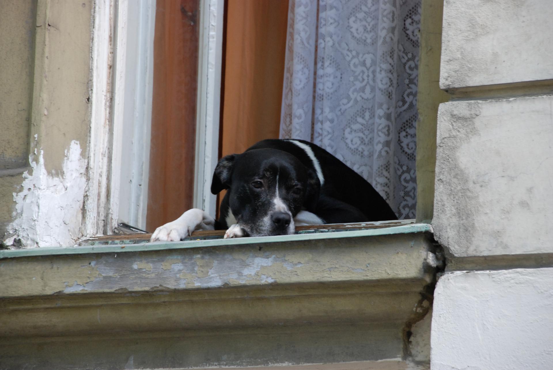 Naziv: DSC_0560.jpg, pregleda: 157, veličina: 210,1 KB