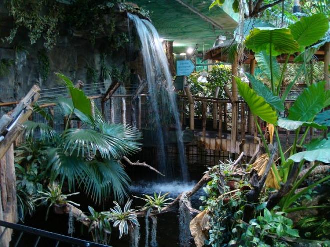 Naziv: tropikarijum5_52a8fedf939ed.jpg, pregleda: 826, veličina: 74,1 KB