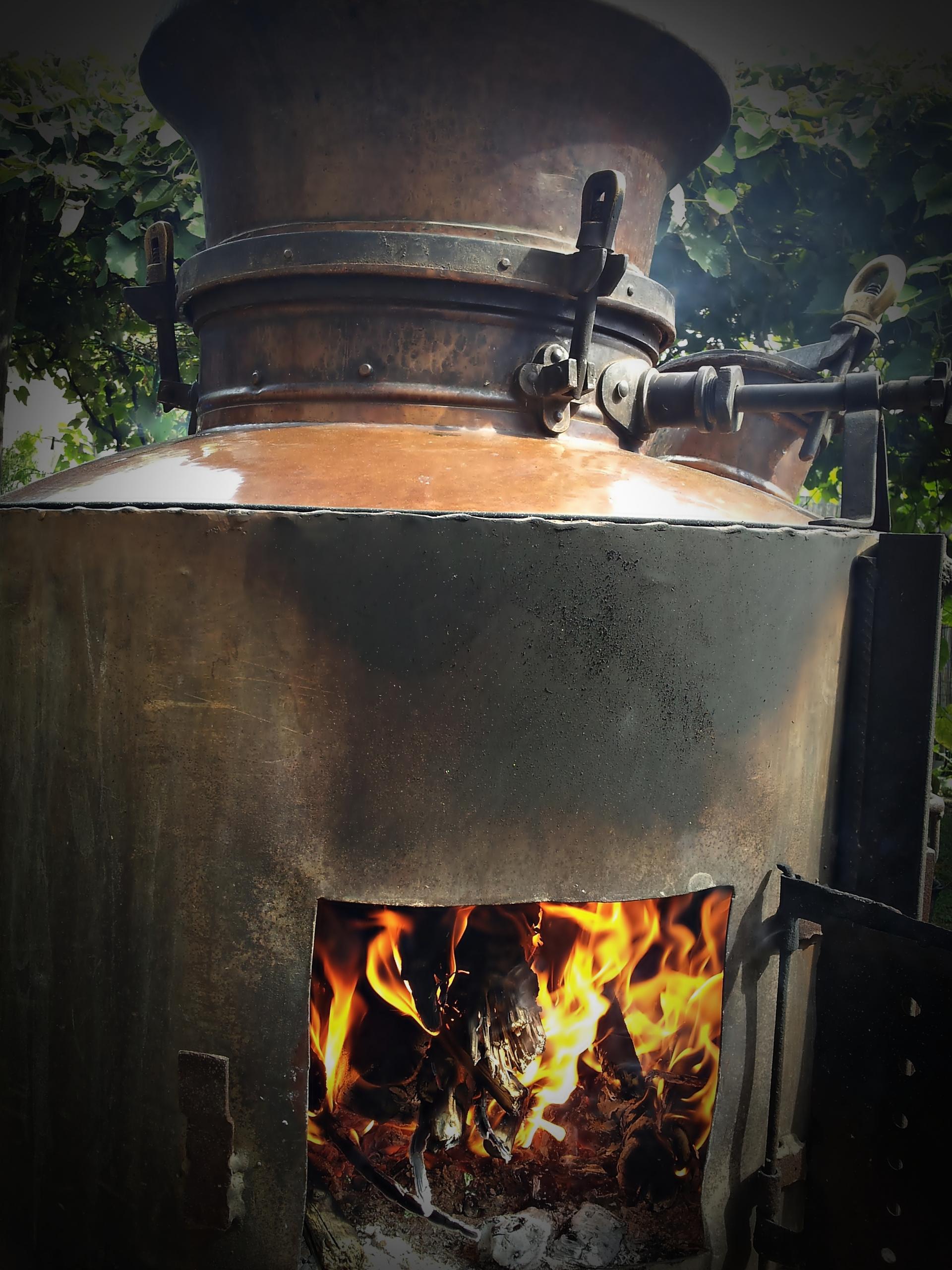 Naziv: 20160907_113156 ...,.jpg, pregleda: 206, veličina: 469,0 KB