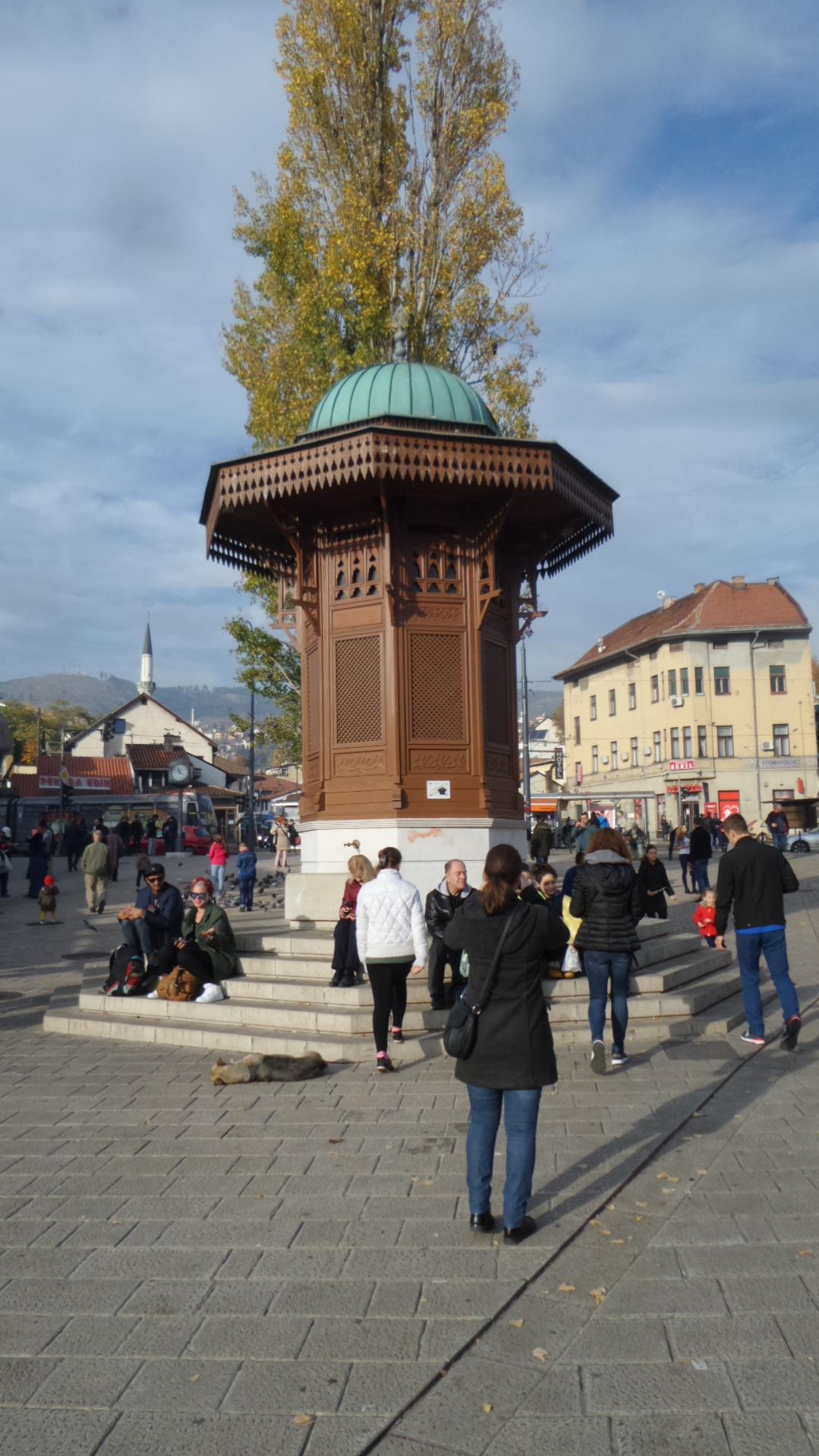 Naziv: 20161023_155734.jpg, pregleda: 200, veličina: 236,6 KB