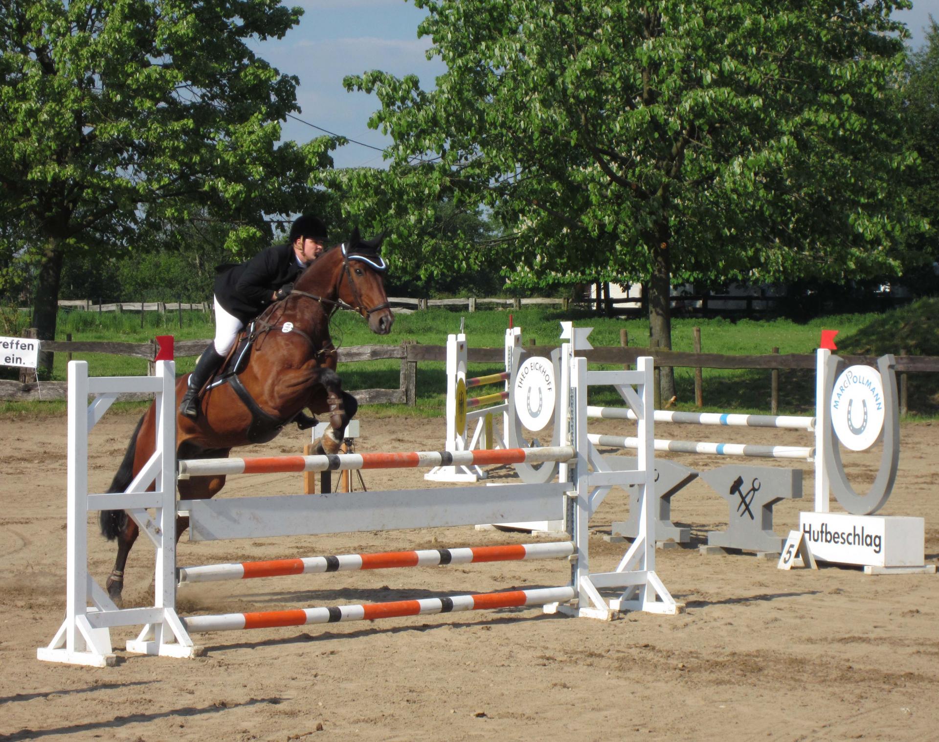 Naziv: IMG_0177.jpg, pregleda: 223, veličina: 471,3 KB