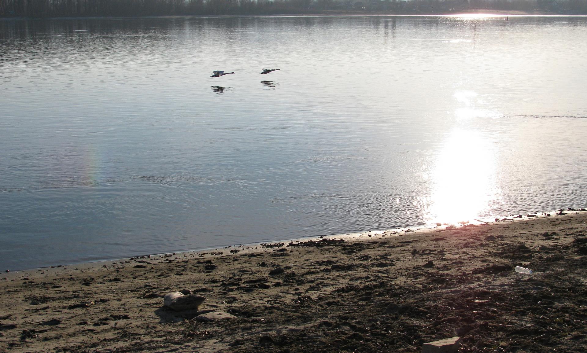 Naziv: IMG_4901 ...,.jpg, pregleda: 211, veličina: 353,6 KB