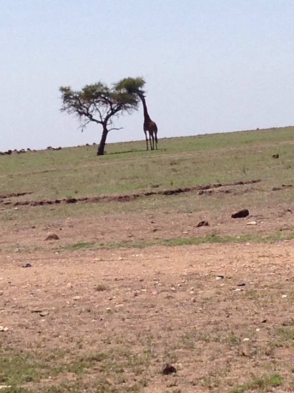 Naziv: image-0-02-06-d8970b5e639cabd0ac206ccbfe404b13198d5ef3ab6781489621855ce0a9e237-V.jpg, pregleda: 265, veličina: 90,3 KB