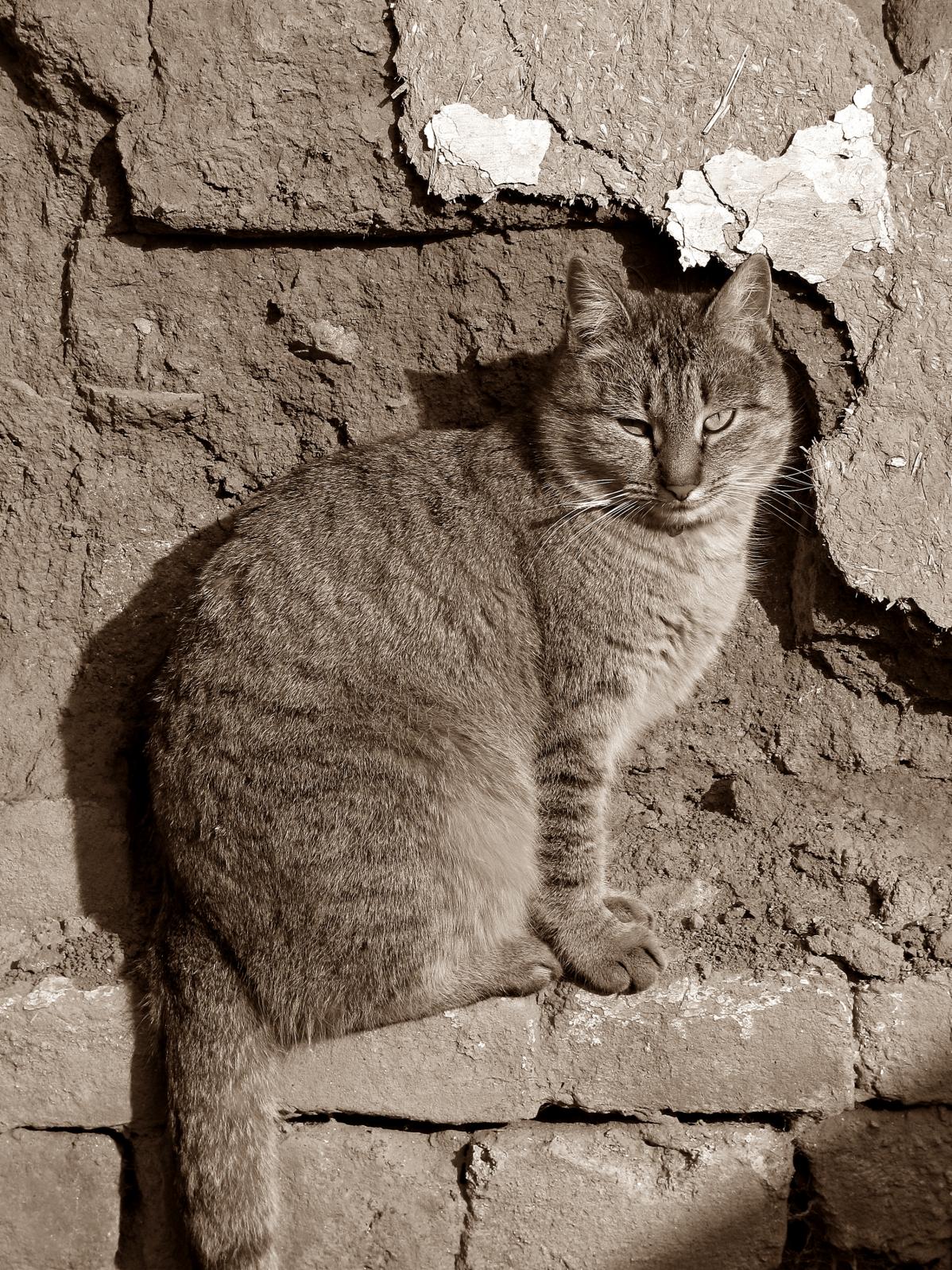 Naziv: IMG_5278 ...,,.jpg, pregleda: 248, veličina: 562,1 KB