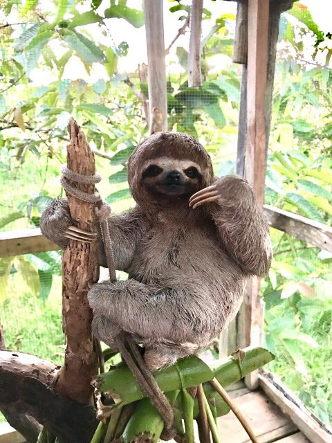 Naziv: image-0-02-05-5436b5429846018c8d2ff2e787605be2b411913357cbec9422a1f3e1794b3d1b-V.jpg, pregleda: 240, veličina: 93,3 KB