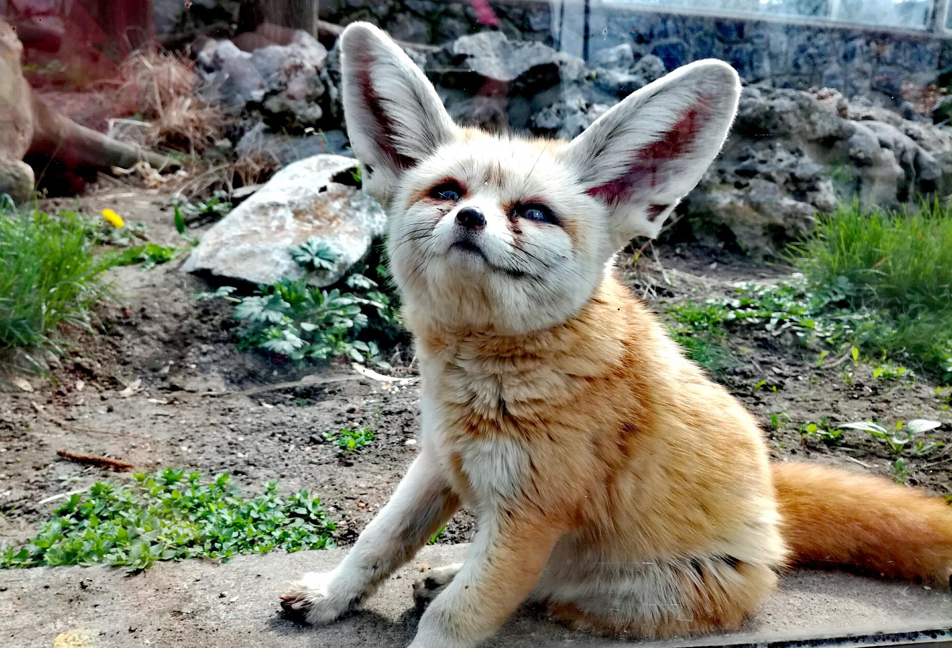 Naziv: IMG_20170323_162436.jpg, pregleda: 237, veličina: 451,3 KB