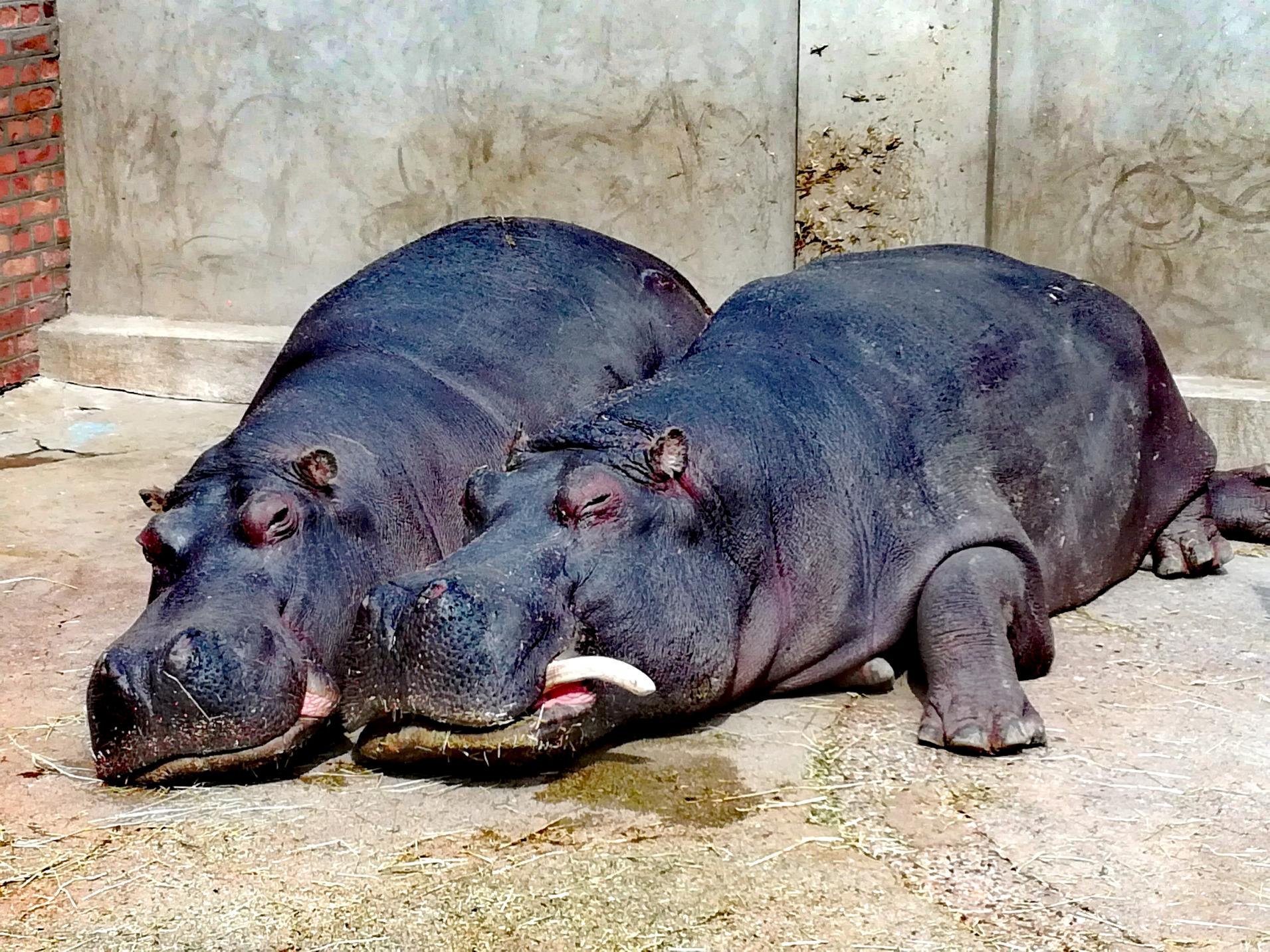 Naziv: IMG_20170323_162808.jpg, pregleda: 238, veličina: 491,3 KB