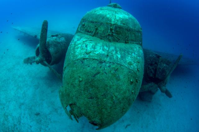 Naziv: avion.jpg, pregleda: 287, veličina: 30,7 KB