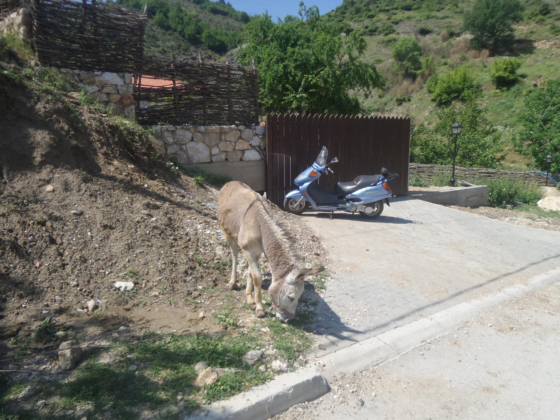 Naziv: 20170530_103943.jpg, pregleda: 172, veličina: 493,9 KB