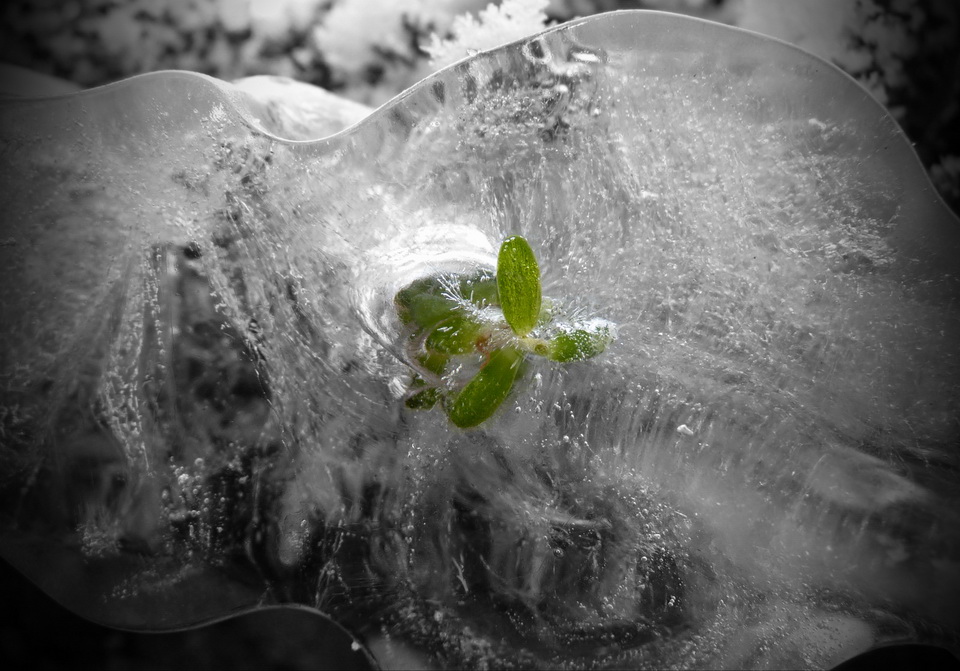 Naziv: P1080053_1600.jpg, pregleda: 218, veličina: 218,9 KB