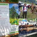 Uslikao, ovekovecio...-img_20170611_152820_627.jpg