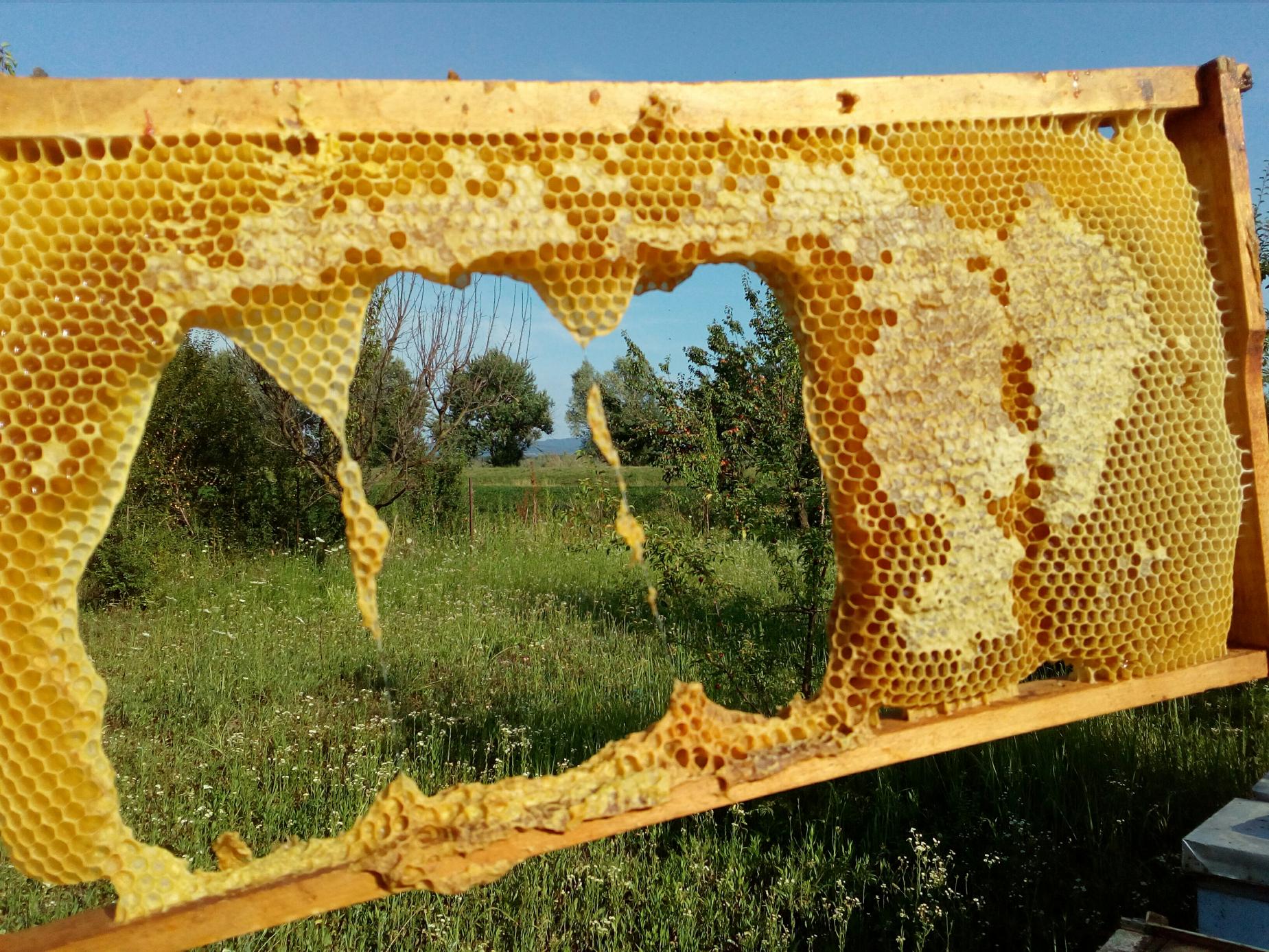 Naziv: IMG_20170709_173816.jpg, pregleda: 187, veličina: 496,8 KB