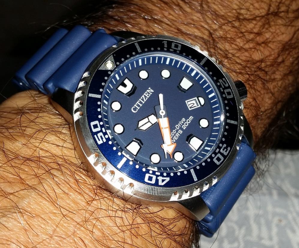 Naziv: Citizen divers.jpg, pregleda: 381, veličina: 152,2 KB